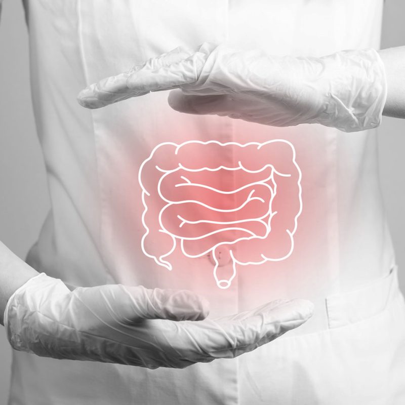 intestino-preso